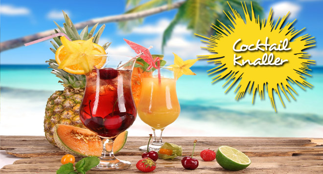 Cocktail catering aanbieding
